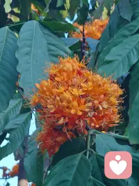 这种相遇不是刻意的迎合，而是自然的共振。配图