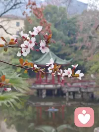 倾听，是给心灵的一场沐浴配图