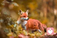 低头哭过别忘了，抬头继续走。配图