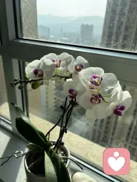 一步一个脚印，才能在时光里沉淀出属于自己的力量。配图