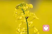 接单模式已上线❤️上午好配图