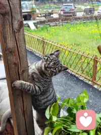 我没有又鸡汤让你喝饱。我有方法供你选择，让你脱离烦恼和痛苦。配图