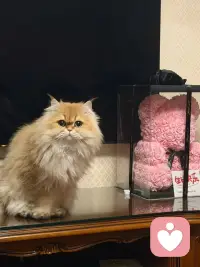 你是自己人生的主角。配图