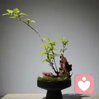 早，人很多，能走进你内心的的很少。配图