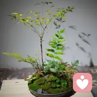 把心里的委屈、焦虑、迷茫，一股脑地倒出来。配图