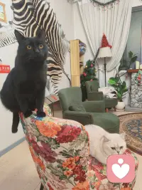 沟通成为拉近距离的桥梁，而非制造矛盾的利器。配图