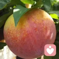 我们愿意为了所爱之人，突破自己的边界，成为更好的人。配图