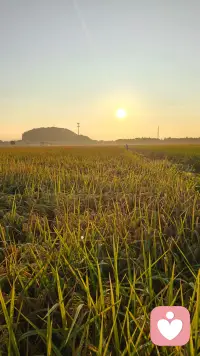 那一刻我忽然懂了——原来倾听不是要去解决问题，而是陪对方在情绪里待一会儿，让他知道，他不是一个人扛着。配图