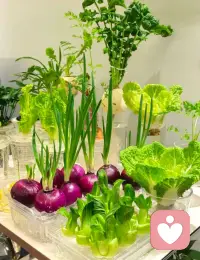 我是倾听师，把温柔留给自己，把情绪慢慢安放，我在这里等你。配图