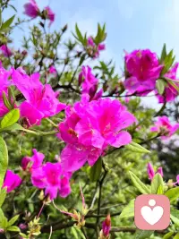 一个能够真诚对待朋友的人，在恋爱关系中也更可能会真诚地对待你。配图