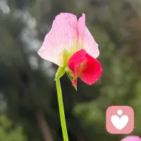 温柔不是软弱，而是有力量的包容；理解不是妥协，而是懂得换位思考。配图