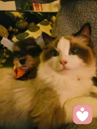 成年人的世界里，只有肯谈钱的婚姻，才真正靠得住；只有愿帮你的伴侣，才真正守得住。配图