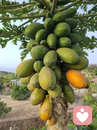 只要健康还在，就有东山再起的可能。从那以后，我更注重饮食和锻炼，身体才是所有可能性的底牌。配图