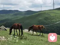 只有肯谈钱的婚姻，才真正靠得住；只有愿帮你的伴侣，才真正守得住。配图