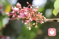 人生本就是一场减法，没有谁能拥有一切，却每个人都拥有独一无二的珍贵。配图