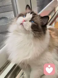 幸福从不是遥不可及的奢望，而是晨起的心安，是遇事的淡定，是接纳不完美后的从容，是善待自己后的通透配图