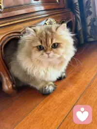 其实你所有的操心都是徒劳的，因为每个人都有自己的因果，都要在自己的因果里经历和成长。配图