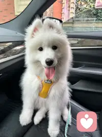 当我们把注意力放在当下，全身心投入生活，那些虚无的焦虑就会自然消散。配图