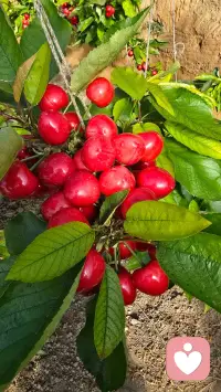 你不必完美，不必全能，不必事事硬扛。你可以脆弱，可以偷懒，可以偶尔崩溃，可以好好爱自己配图