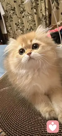 在认知觉醒的路上，你从来都不是孤身一人。配图