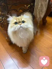 在认知觉醒的路上，你从来都不是孤身一人。配图