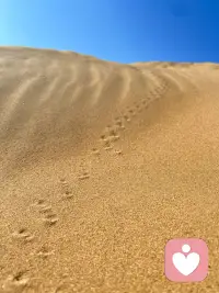 靠自己撑起一片天，凭努力活成想要的模样，清醒、独立、温暖、强大，便是人生最好的状态。配图