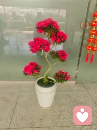 语言是有能量的，一句话，可以温暖一颗心，也可以刺痛一个人。”配图