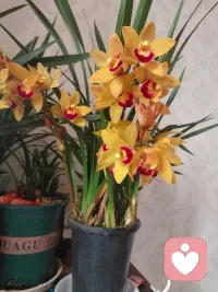 守住一份无聊，便是守住了健康与心安。原来，最顶级的养生，不过是享受一段安闲的无聊时光。配图