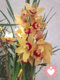 守住一份无聊，便是守住了健康与心安。原来，最顶级的养生，不过是享受一段安闲的无聊时光。配图