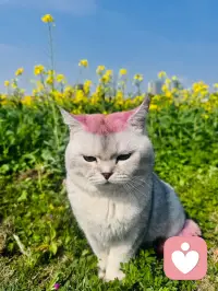 星星期天快乐，我们这里等待你的到来配图