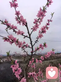 原来倾听本身就是一种力量——我不需要给出答案，我只需要成为他可以放心说话的那个人。配图