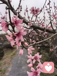 原来倾听本身就是一种力量——我不需要给出答案，我只需要成为他可以放心说话的那个人。配图