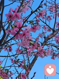 原来倾听本身就是一种力量——我不需要给出答案，我只需要成为他可以放心说话的那个人。配图