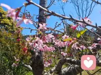 原来倾听本身就是一种力量——我不需要给出答案，我只需要成为他可以放心说话的那个人。配图