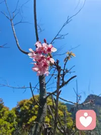 原来倾听本身就是一种力量——我不需要给出答案，我只需要成为他可以放心说话的那个人。配图