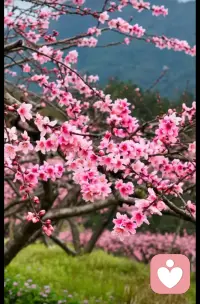 原来倾听本身就是一种力量——我不需要给出答案，我只需要成为他可以放心说话的那个人。配图