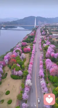 喜欢每个有阳光的日子，事事忘记，事事等待，事事自愈。配图