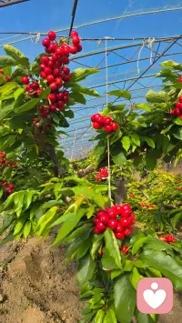 心理健康，从来不是没有烦恼，而是学会与烦恼共处。配图