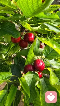 心理健康，从来不是没有烦恼，而是学会与烦恼共处。配图