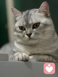 那些看似负面的感受，都是内心发出的信号，提醒我们停下来，关照自己，接纳那个不完美的自己配图