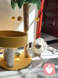 那些看似负面的感受，都是内心发出的信号，提醒我们停下来，关照自己，接纳那个不完美的自己配图