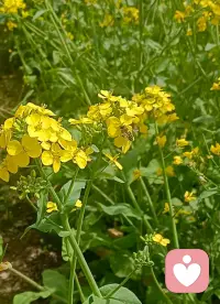 给情绪一点“流动的空间”。焦虑和烦躁就像河水，堵住它会酿成洪水，疏导它才能自然流淌配图