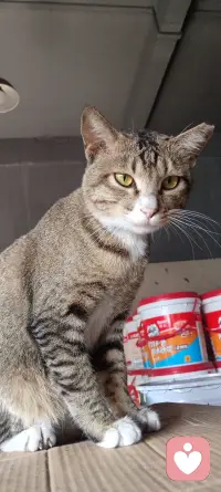 身边有无数朋友，却找不到一个可以倾诉真心的人；明明被需要，却从未被真正理解。配图