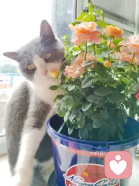 今天忙忙碌碌渴望赚钱，对未来要抱有希望啊配图