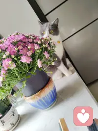 今天忙忙碌碌渴望赚钱，对未来要抱有希望啊配图