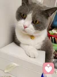 今天忙忙碌碌渴望赚钱，对未来要抱有希望啊配图