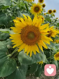 我们学会了设立边界，学会了拒绝，学会了把真心留给值得的人，把温柔留给懂得珍惜的人。配图