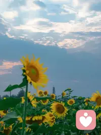 我们学会了设立边界，学会了拒绝，学会了把真心留给值得的人，把温柔留给懂得珍惜的人。配图