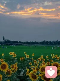 我们学会了设立边界，学会了拒绝，学会了把真心留给值得的人，把温柔留给懂得珍惜的人。配图