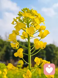 让每一次交流，都成为彼此的力量，而不是负担，抓住生命里的光，照亮彼此！配图